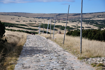 Krajobraz górski, Karkonosze. © konik60