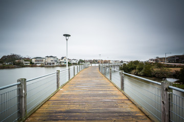 Boardwalk over Lake Holly, in Virginia Beach, Virginia.
