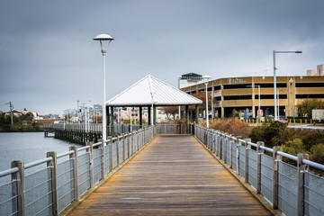 Boardwalk over Lake Holly, in Virginia Beach, Virginia.