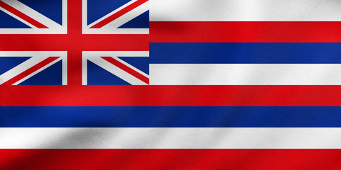 Flag of Hawaii waving, real fabric texture
