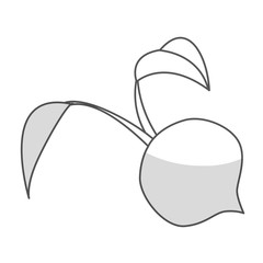 beetroot vegetable icon over white background. black and white design. vector illustration