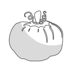pumpkin vegetable icon over white background. black and white design. vector illustration