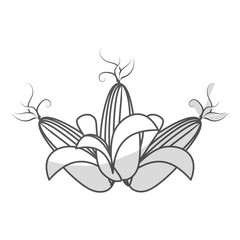 corn vegetable icon over white background. black and white design. vector illustration