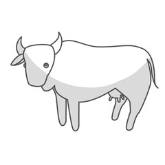 cow icon. farm animals design. vector illustration