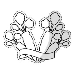carrot vegetable with ribbon over white background. black and white design. vector illustration