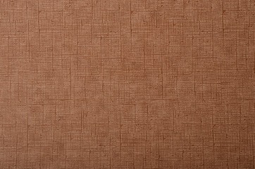 Fototapeta premium Cardboard textured background