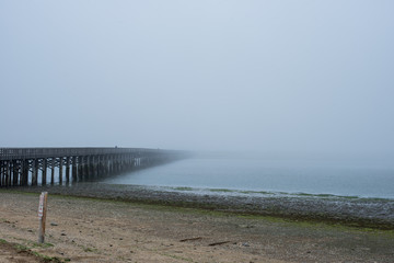Bridge into the fog