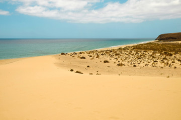 Fototapeta na wymiar Aerial view on famous beach Playa de Sotavento on the Canary island Fuerteventura, Spain.