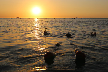 guy floating in the sea with sunglasses on his hands