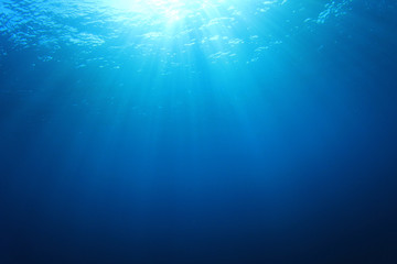 Blauer Unterwasserhintergrund im Meer © Richard Carey