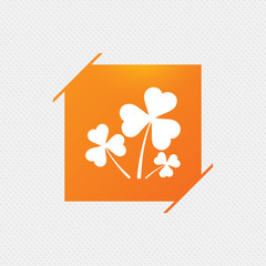 Clovers with three leaves sign icon. Saint Patrick trefoil shamrock symbol. Orange square label on pattern. Vector