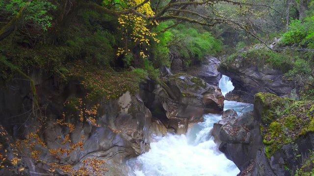 Autumn landscape with mountain river and forest. Nepal.
