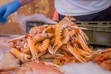 A vendor with a pile of fresh scampi for sale in a fish market in Croatia.
