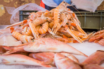 Fresh fish and scampi for sale in a fish market in the Croatian town of Split.