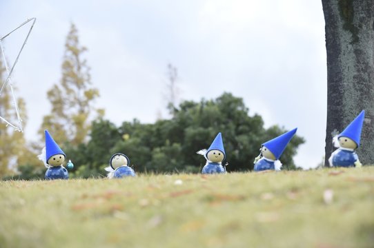 いるみね