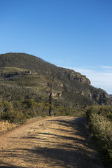 Landscape from Blue mountains national park