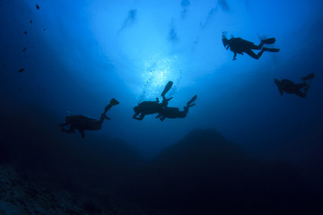 Fototapeta na wymiar Scuba divers diving