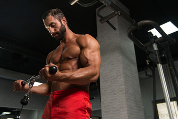Fototapeta na wymiar Powerful Muscular Man Exercising Biceps On Cable Machine