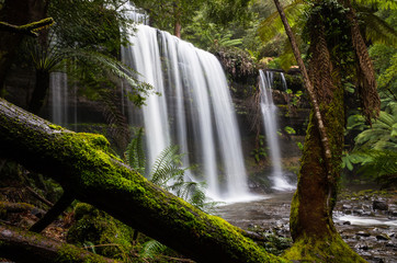 Obraz premium Russell Falls - Mt Field National Park - Tasmania, Australia