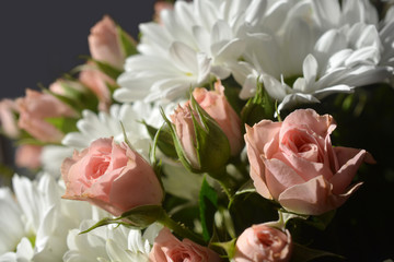 Roses and Chrysanthemums