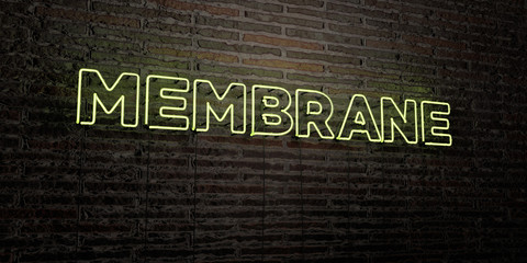 MEMBRANE -Realistic Neon Sign on Brick Wall background - 3D rendered royalty free stock image. Can be used for online banner ads and direct mailers..