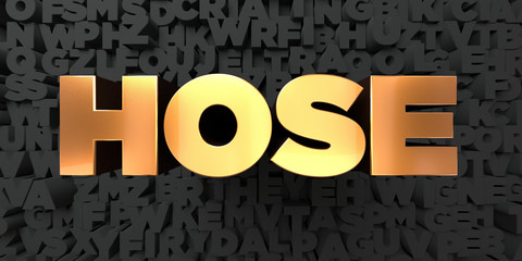 Hose - Gold text on black background - 3D rendered royalty free stock picture. This image can be used for an online website banner ad or a print postcard.