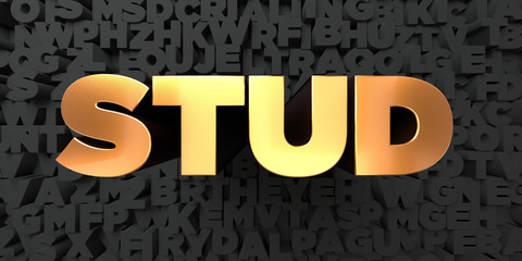Stud - Gold text on black background - 3D rendered royalty free stock picture. This image can be used for an online website banner ad or a print postcard.