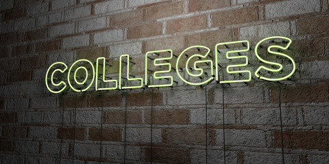 COLLEGES - Glowing Neon Sign on stonework wall - 3D rendered royalty free stock illustration.  Can be used for online banner ads and direct mailers..