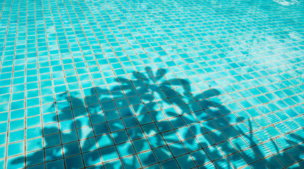 Abstract tree shadow on pool background