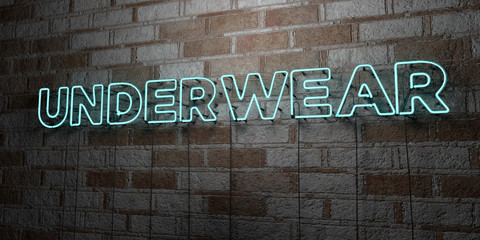UNDERWEAR - Glowing Neon Sign on stonework wall - 3D rendered royalty free stock illustration.  Can be used for online banner ads and direct mailers..