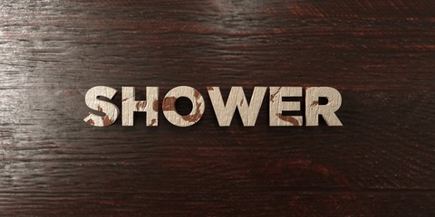 Shower - grungy wooden headline on Maple  - 3D rendered royalty free stock image. This image can be used for an online website banner ad or a print postcard.