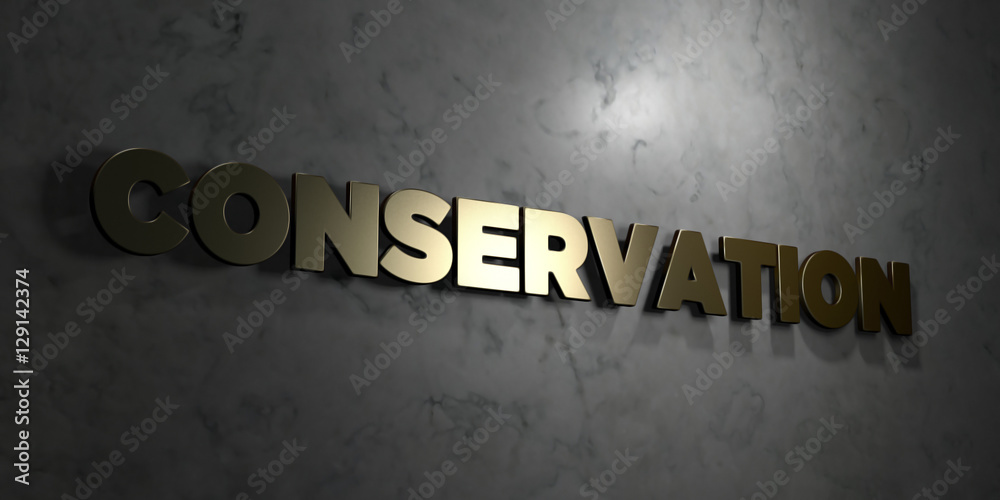 Fototapete conservation - gold text on black background - 3d rendered royalty free stock picture. this image ca