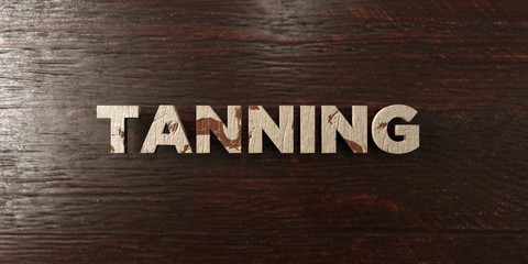 Tanning - grungy wooden headline on Maple  - 3D rendered royalty free stock image. This image can be used for an online website banner ad or a print postcard.