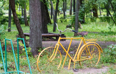 Fototapeta na wymiar bike is a green meadow
