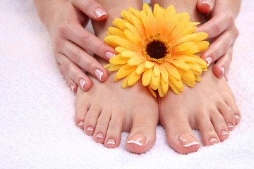 Closeup photo of a beautiful female feet with pedicure