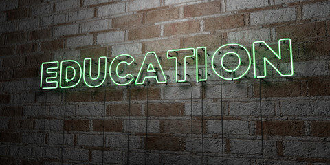EDUCATION - Glowing Neon Sign on stonework wall - 3D rendered royalty free stock illustration.  Can be used for online banner ads and direct mailers..
