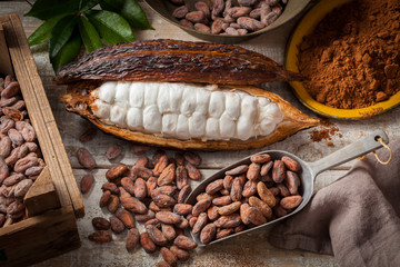 Cocoa beans and pod