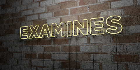 EXAMINES - Glowing Neon Sign on stonework wall - 3D rendered royalty free stock illustration.  Can be used for online banner ads and direct mailers..