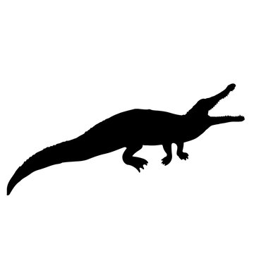 Crocodile or caiman. Black vector silhouette of an alligator 