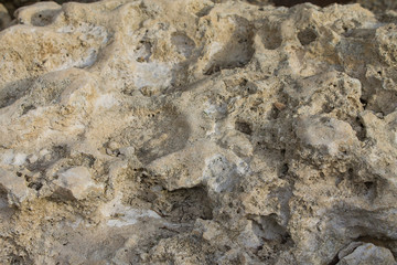 texture stone of sandstone