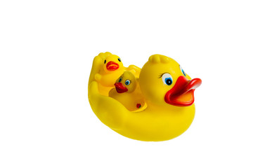 Cute yellow rubber duck isolated over white background. The family of yellow rubber ducks.