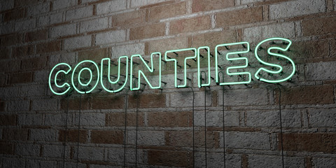 COUNTIES - Glowing Neon Sign on stonework wall - 3D rendered royalty free stock illustration.  Can be used for online banner ads and direct mailers..