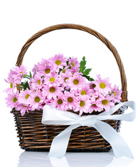Chrysanthemum flowers in the wicker on white background