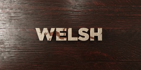 Welsh - grungy wooden headline on Maple  - 3D rendered royalty free stock image. This image can be used for an online website banner ad or a print postcard.