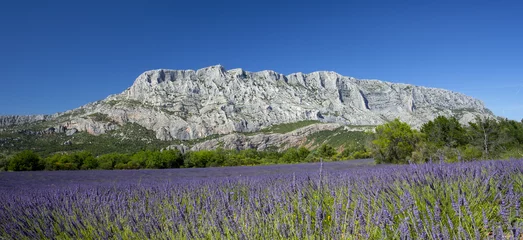 Foto auf Glas Mont Sainte Victoire und Lavendel © jefwod