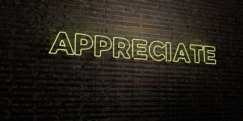 APPRECIATE -Realistic Neon Sign on Brick Wall background - 3D rendered royalty free stock image. Can be used for online banner ads and direct mailers..