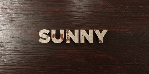 Sunny - grungy wooden headline on Maple  - 3D rendered royalty free stock image. This image can be used for an online website banner ad or a print postcard.