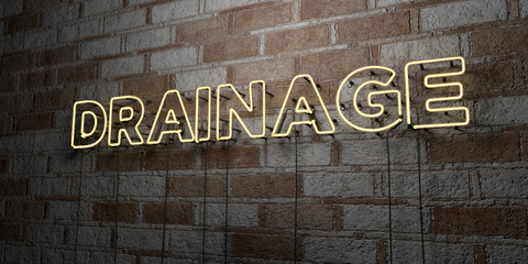 DRAINAGE - Glowing Neon Sign on stonework wall - 3D rendered royalty free stock illustration.  Can be used for online banner ads and direct mailers..