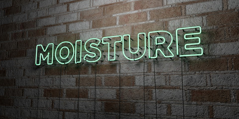 MOISTURE - Glowing Neon Sign on stonework wall - 3D rendered royalty free stock illustration.  Can be used for online banner ads and direct mailers..