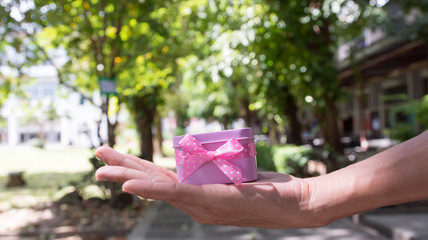 Gift with pink ribbon, white box in female hands, Christmas surprise, a happy new year